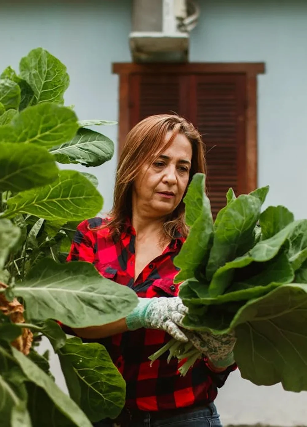 We grow fresh, organic produce using clean methods that protect nature, healthy food.