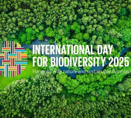 La naturaleza no solo es hermosa, sino también esencial. Cada gota de agua, cada bocado de aire, cada bocado de comida que disfrutamos depende de ecosistemas prósperos y diversos. Sin embargo, la biodiversidad está en crisis. El Día Internacional de la Diversidad Biológica de este año nos recuerda con urgencia: es hora de repensar nuestra relación con la naturaleza.