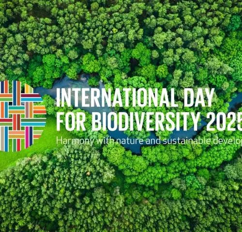 La naturaleza no solo es hermosa, sino también esencial. Cada gota de agua, cada bocado de aire, cada bocado de comida que disfrutamos depende de ecosistemas prósperos y diversos. Sin embargo, la biodiversidad está en crisis. El Día Internacional de la Diversidad Biológica de este año nos recuerda con urgencia: es hora de repensar nuestra relación con la naturaleza.