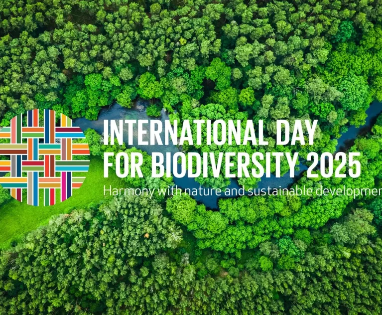 La naturaleza no solo es hermosa, sino también esencial. Cada gota de agua, cada bocado de aire, cada bocado de comida que disfrutamos depende de ecosistemas prósperos y diversos. Sin embargo, la biodiversidad está en crisis. El Día Internacional de la Diversidad Biológica de este año nos recuerda con urgencia: es hora de repensar nuestra relación con la naturaleza.