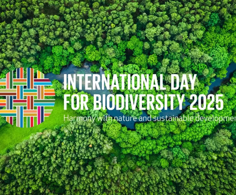 La naturaleza no solo es hermosa, sino también esencial. Cada gota de agua, cada bocado de aire, cada bocado de comida que disfrutamos depende de ecosistemas prósperos y diversos. Sin embargo, la biodiversidad está en crisis. El Día Internacional de la Diversidad Biológica de este año nos recuerda con urgencia: es hora de repensar nuestra relación con la naturaleza.
