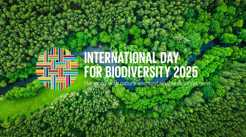 La naturaleza no solo es hermosa, sino también esencial. Cada gota de agua, cada bocado de aire, cada bocado de comida que disfrutamos depende de ecosistemas prósperos y diversos. Sin embargo, la biodiversidad está en crisis. El Día Internacional de la Diversidad Biológica de este año nos recuerda con urgencia: es hora de repensar nuestra relación con la naturaleza.