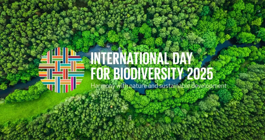 La naturaleza no solo es hermosa, sino también esencial. Cada gota de agua, cada bocado de aire, cada bocado de comida que disfrutamos depende de ecosistemas prósperos y diversos. Sin embargo, la biodiversidad está en crisis. El Día Internacional de la Diversidad Biológica de este año nos recuerda con urgencia: es hora de repensar nuestra relación con la naturaleza.